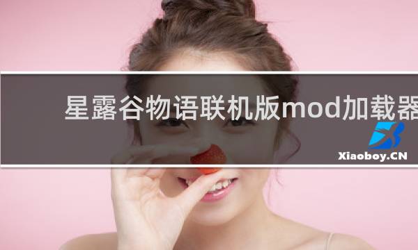星露谷物语联机版mod加载器