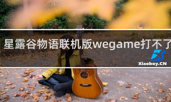 星露谷物语联机版wegame打不了中文