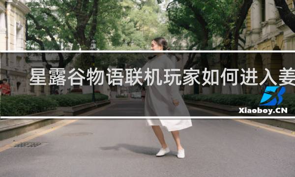 星露谷物语联机玩家如何进入姜岛