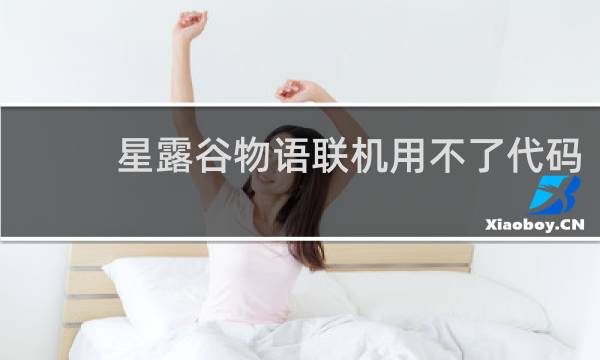 星露谷物语联机用不了代码