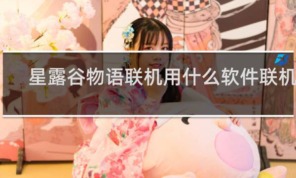 星露谷物语联机用什么软件联机好