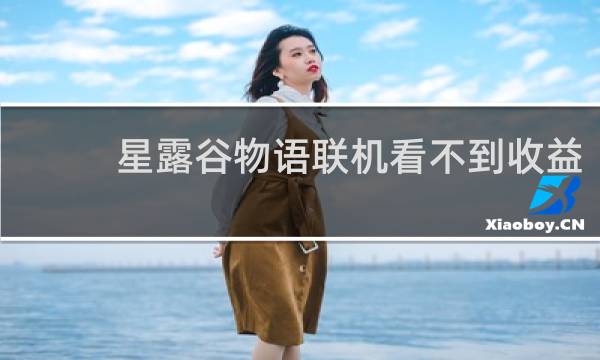 星露谷物语联机看不到收益