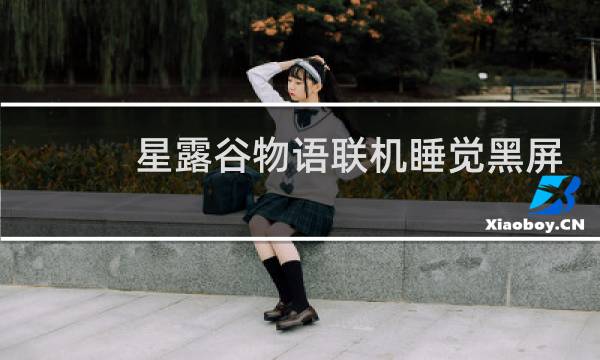 星露谷物语联机睡觉黑屏