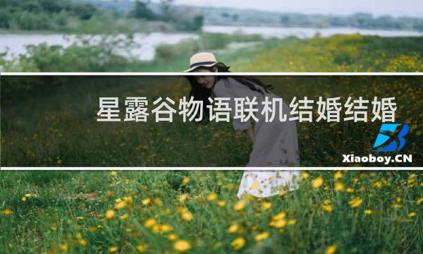 星露谷物语联机结婚结婚
