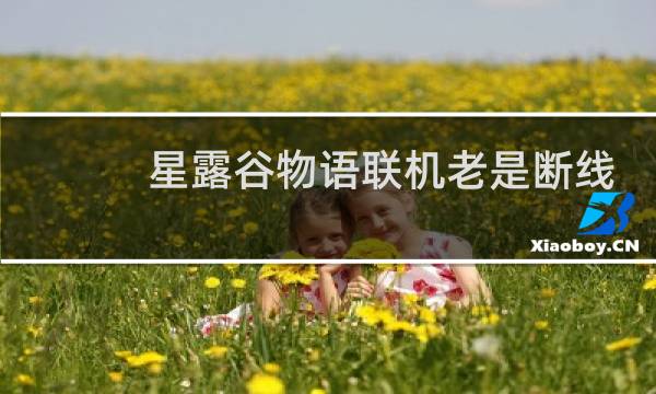 星露谷物语联机老是断线