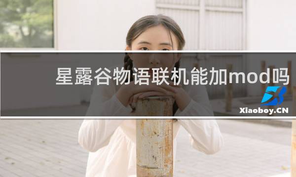 星露谷物语联机能加mod吗