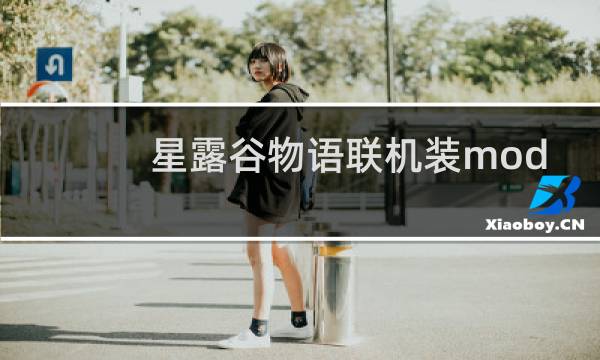星露谷物语联机装mod