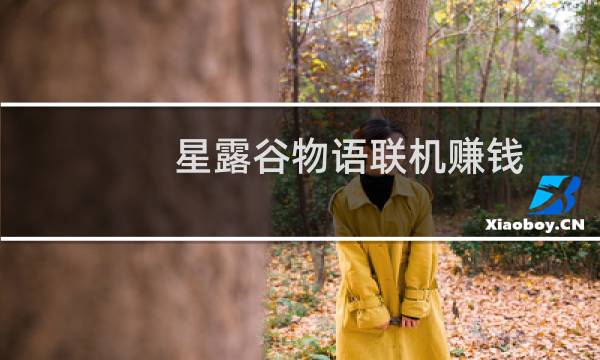 星露谷物语联机赚钱