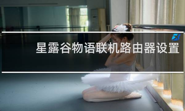 星露谷物语联机路由器设置