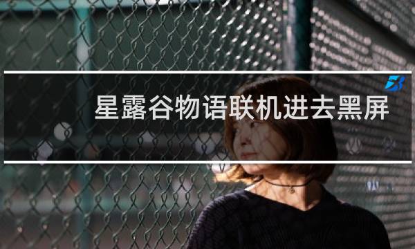 星露谷物语联机进去黑屏