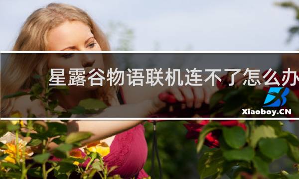 星露谷物语联机连不了怎么办