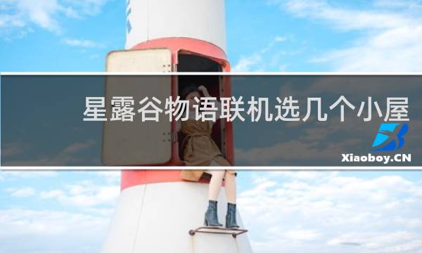 星露谷物语联机选几个小屋