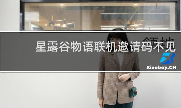 星露谷物语联机邀请码不见