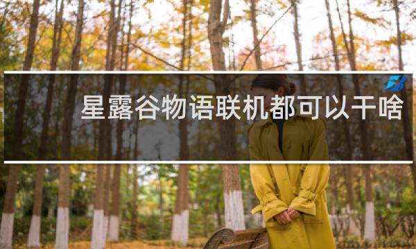 星露谷物语联机都可以干啥