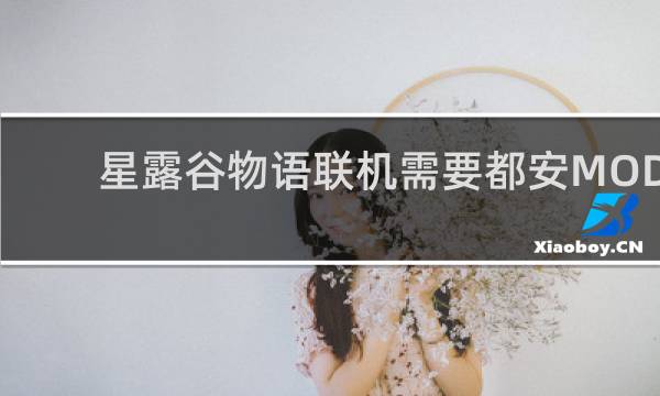星露谷物语联机需要都安MOD