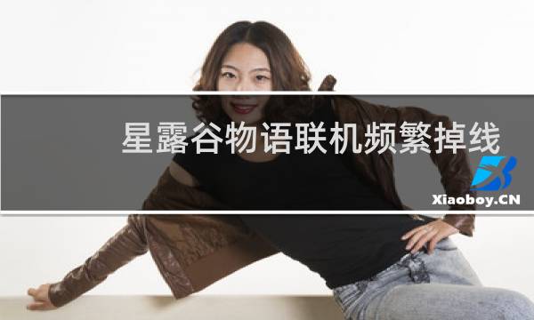 星露谷物语联机频繁掉线