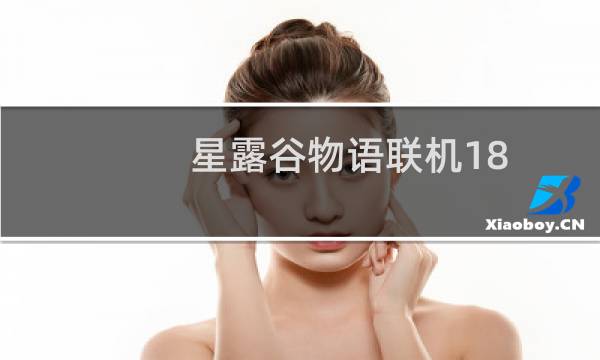 星露谷物语联机18