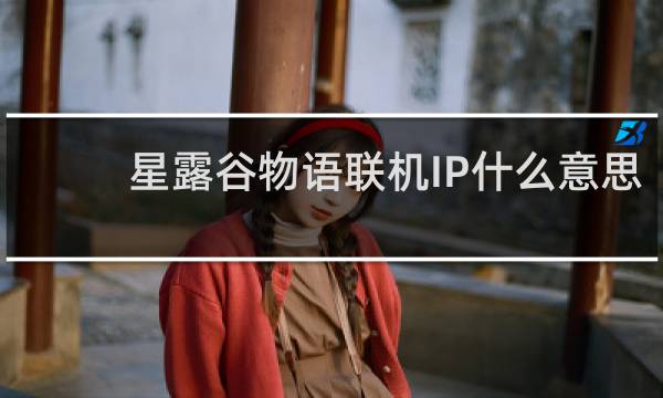 星露谷物语联机IP什么意思