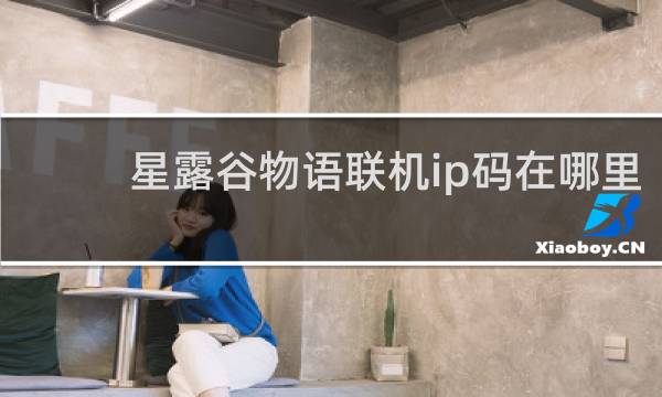 星露谷物语联机ip码在哪里