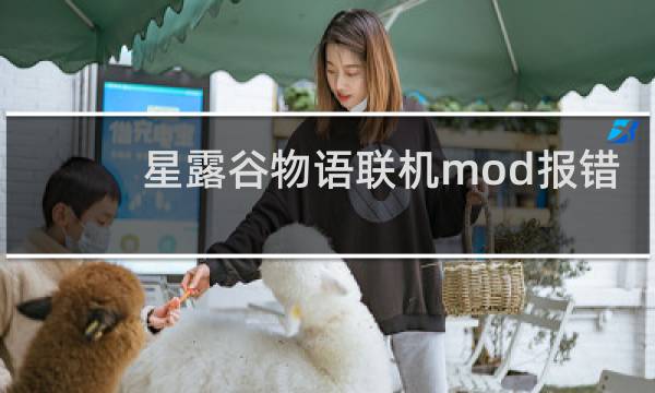 星露谷物语联机mod报错