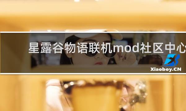 星露谷物语联机mod社区中心