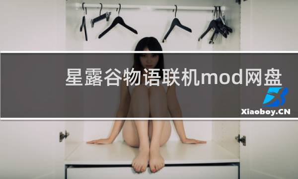 星露谷物语联机mod网盘