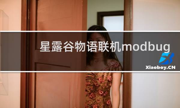 星露谷物语联机modbug