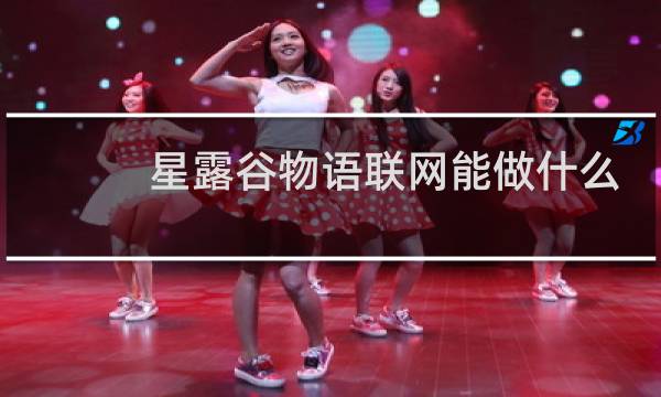 星露谷物语联网能做什么