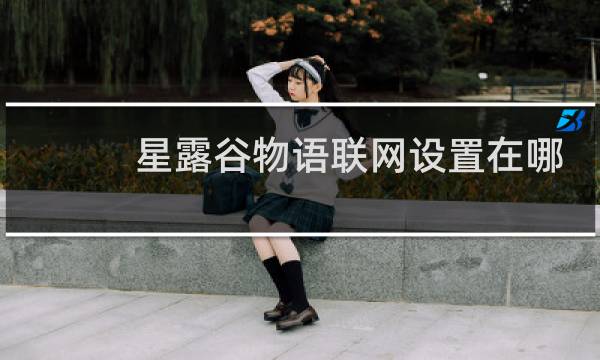 星露谷物语联网设置在哪
