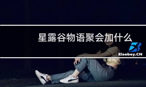 星露谷物语聚会加什么