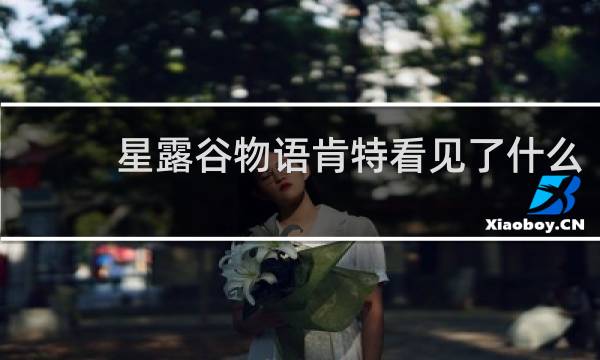 星露谷物语肯特看见了什么