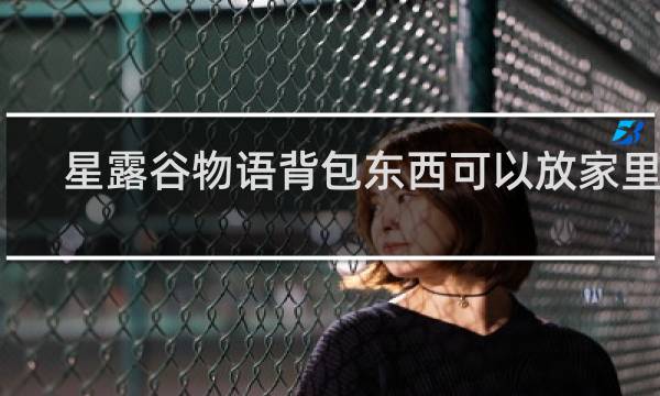 星露谷物语背包东西可以放家里吗