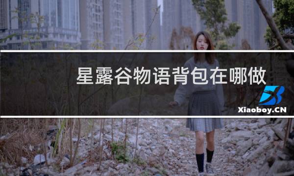 星露谷物语背包在哪做