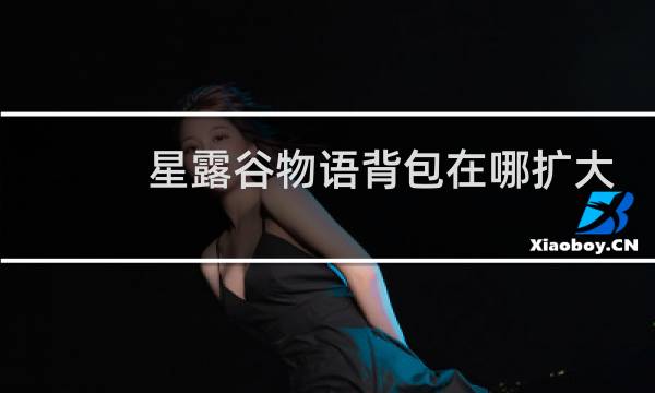 星露谷物语背包在哪扩大