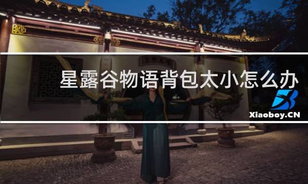 星露谷物语背包太小怎么办