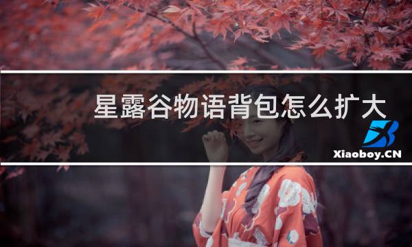 星露谷物语背包怎么扩大