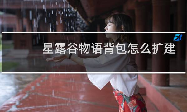 星露谷物语背包怎么扩建