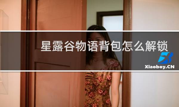 星露谷物语背包怎么解锁