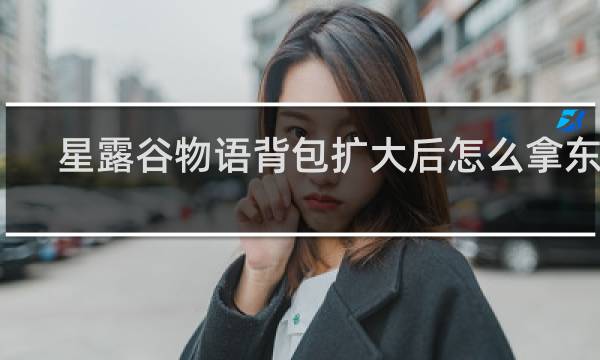 星露谷物语背包扩大后怎么拿东西