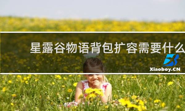 星露谷物语背包扩容需要什么