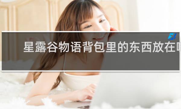 星露谷物语背包里的东西放在哪