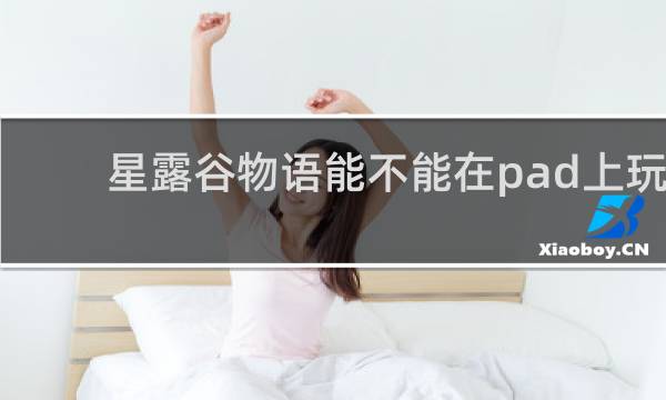星露谷物语能不能在pad上玩