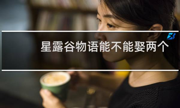 星露谷物语能不能娶两个