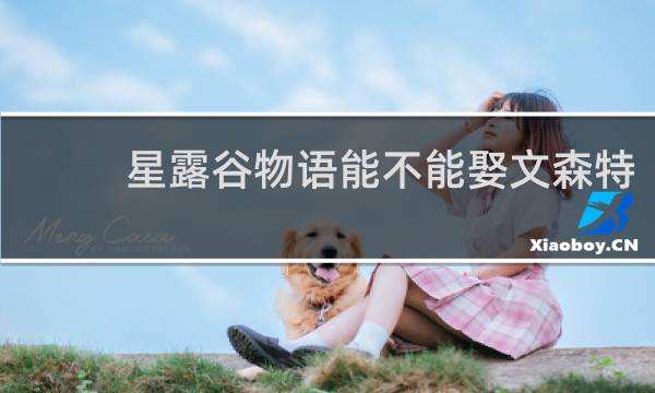 星露谷物语能不能娶文森特