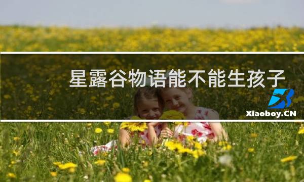 星露谷物语能不能生孩子