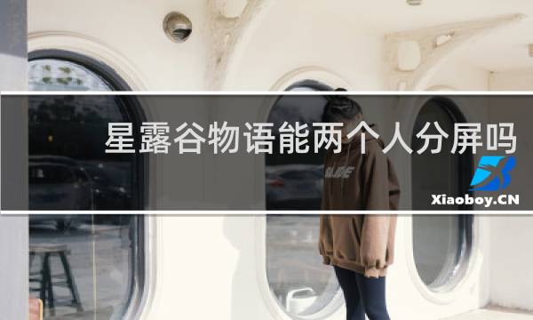 星露谷物语能两个人分屏吗