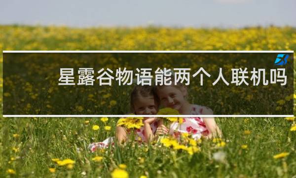 星露谷物语能两个人联机吗