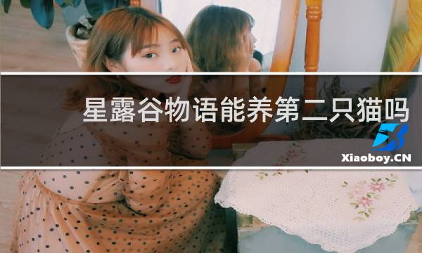 星露谷物语能养第二只猫吗