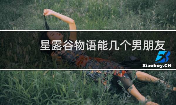 星露谷物语能几个男朋友