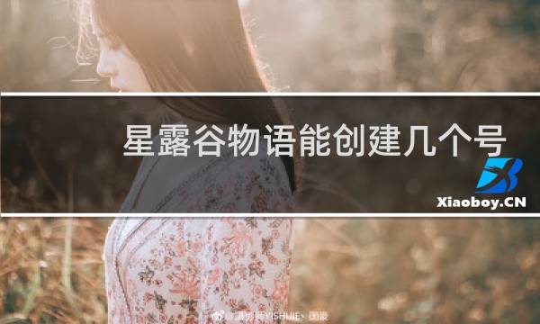 星露谷物语能创建几个号